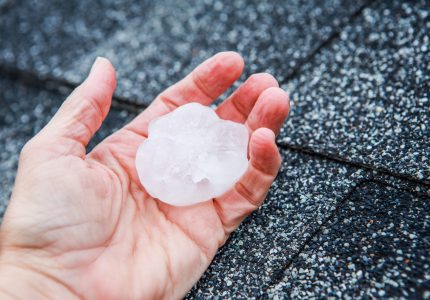 Hail in a hand after hailstorm