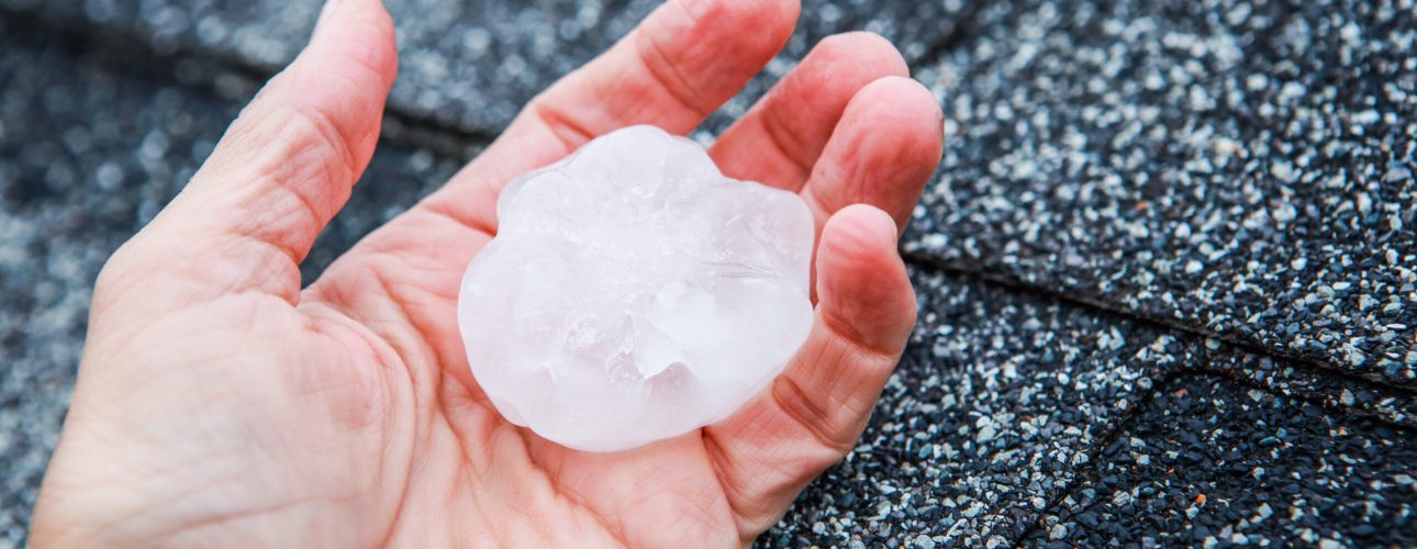 Hail in a hand after hailstorm